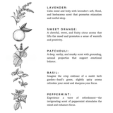 Revive - Spa Collection Candle