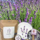 Garden Sprinkles | Lavender | Best Seller Spring Garden Gift