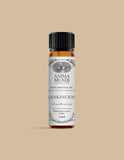 FRANKINCENSE Essential Oil | Wildcrafted
