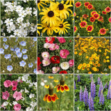 Garden Sprinkles Wildflowers | Best Seller | Spring Gifts
