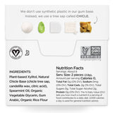 Sugar Free Spearmint Gum - Natural + Plastic-Free | 12 Pack