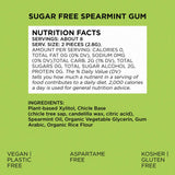 Sugar Free Spearmint Gum - Natural + Plastic-Free | 12 Pack