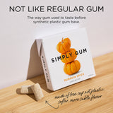 Pumpkin Spice Chewing Gum - Natural + Plastic-Free