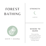 Forest Bathing Frosted Candle