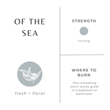 Of The Sea Frosted Candle