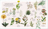 The Herb Book