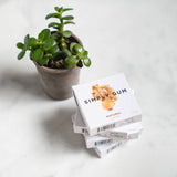 Ginger Natural Chewing Gum